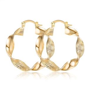 NWOT twisted hoop earrings